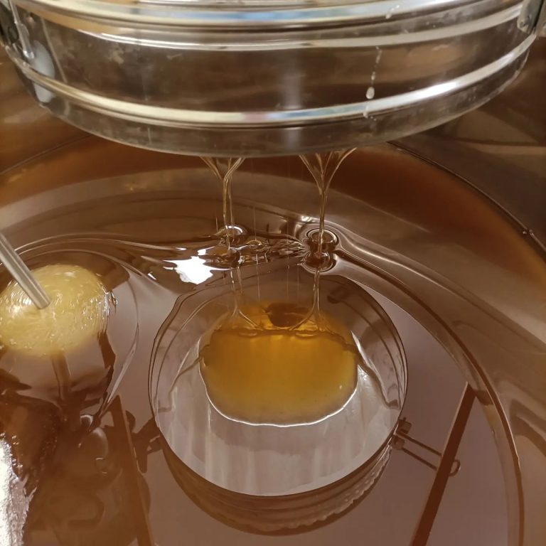 Tout savoir sur le miel de lavande de Valensole : origine, saveur et bienfaits