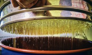 travail du miel en provence